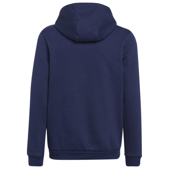 Adidas Παιδικό φούτερ Entrada 22 Hoodie